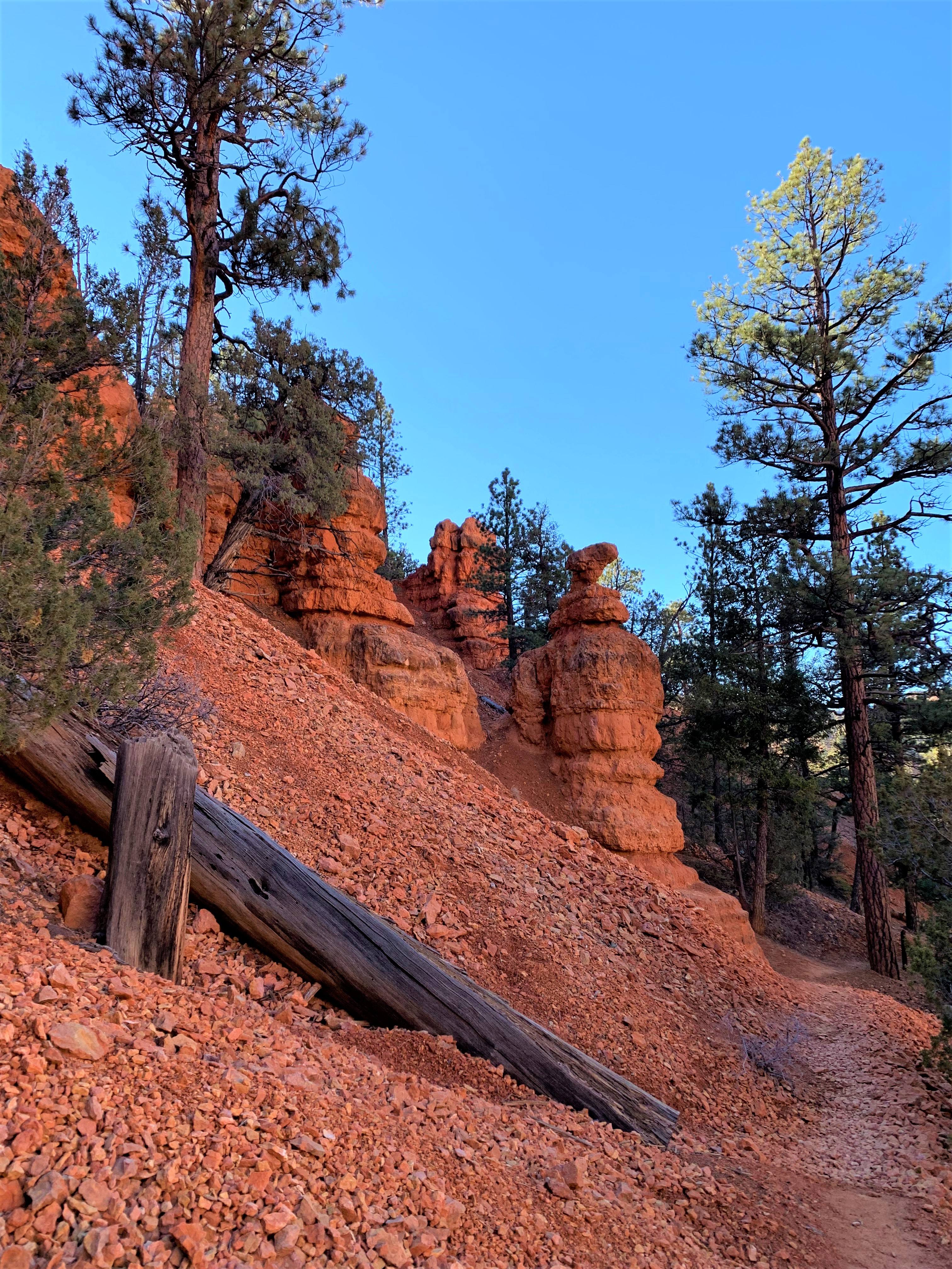 Red Canyon